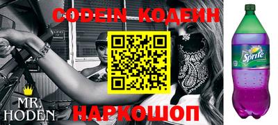 МДПВ Бийск