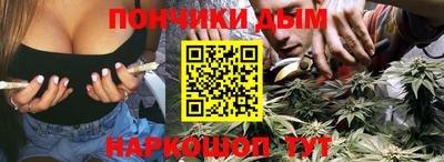 МДПВ Бийск