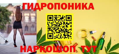 МДПВ Бийск
