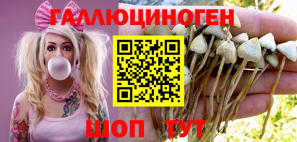 Псилоцибиновые грибы Magic Shrooms Качканар